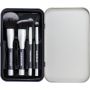 Magnetic Brush Set
