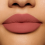 Makeup Factory Velvet Mat Lipstick Pretty Rose 29