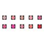 Ben Nye Blush poudre