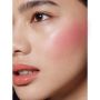 Ben Nye Creme Rouge Wheels Creme Rouge Wheel Brights