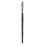Facepaintshop Brushes Flora 8