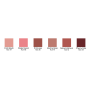 Palette de couleurs pour les lèvres Ben Nye 1