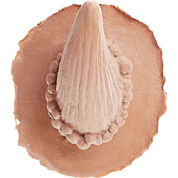 Cornes en latex Diable